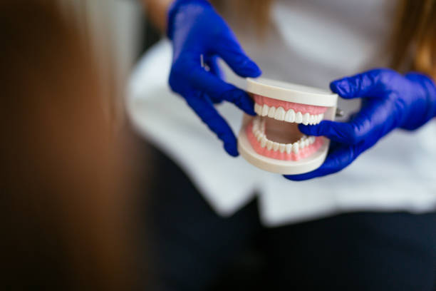 Best Dental X-Rays and Imaging  in Frenchtown, MT
